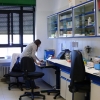 Laboratorio. Facultad de Veterinaria. Campus Miguel Servet